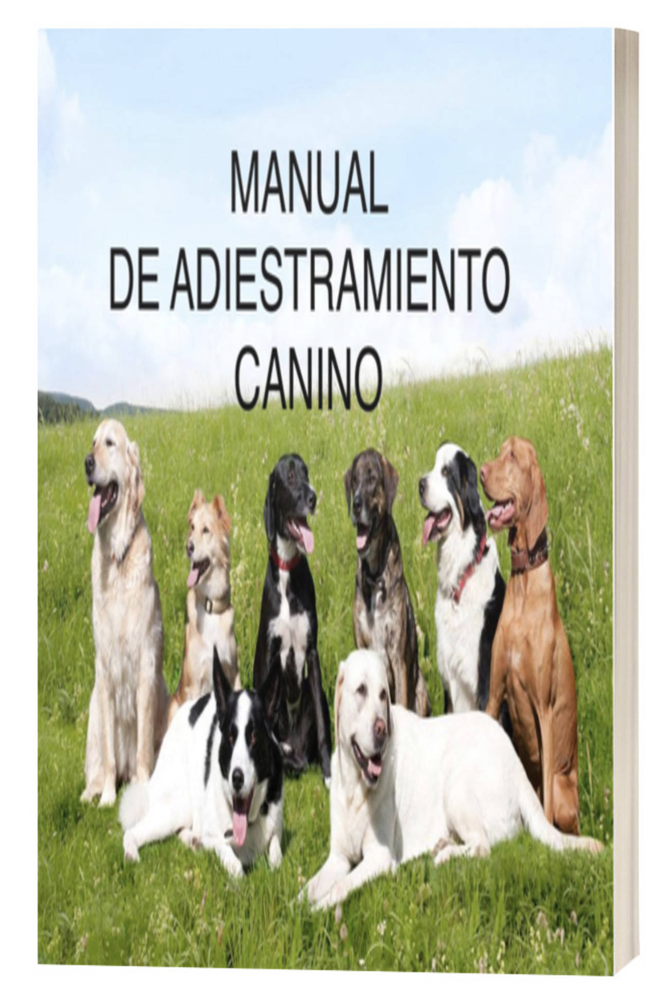 Adiestramiento Canino Manual En Pdf Para El Adiestramiento Canino